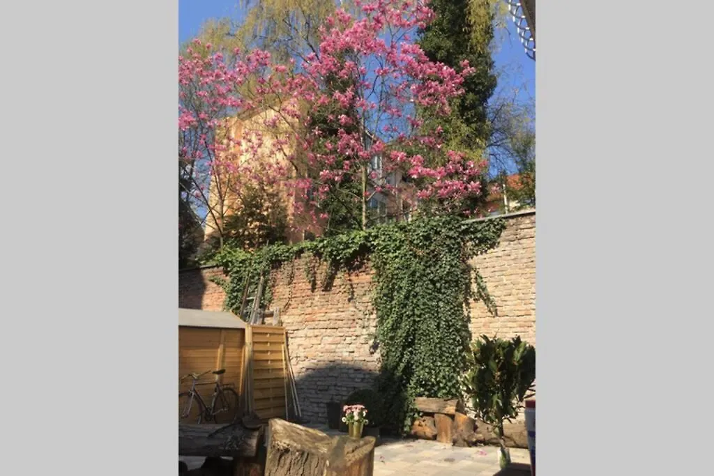 Beautiful Backyard Remise Apartment Berlin Germany